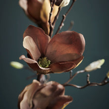 Load image into Gallery viewer, Magnolia Brown