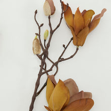 Load image into Gallery viewer, Magnolia Brown