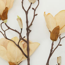 Load image into Gallery viewer, Magnolia Off-White