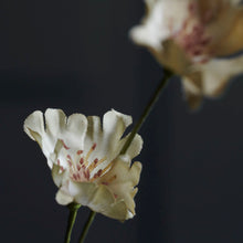 Load image into Gallery viewer, Wild Flower Beige