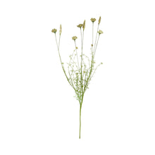 Load image into Gallery viewer, Wild Flower Beige