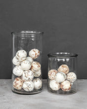 Load image into Gallery viewer, Classic Small Clear Glass Cylinder Vase
