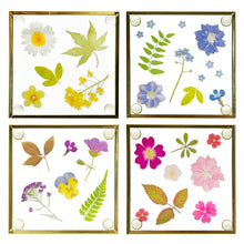 Load image into Gallery viewer, Pressed Flowers Glass Coasters - Set of 4
