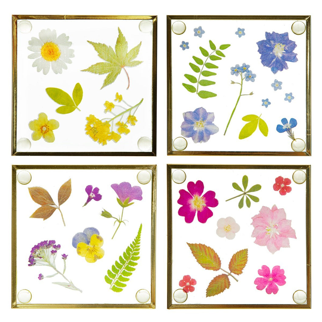 Pressed Flowers Glass Coasters - Set of 4