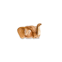 Load image into Gallery viewer, Elephant Hook - Brass
