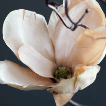 Load image into Gallery viewer, Magnolia Off-White
