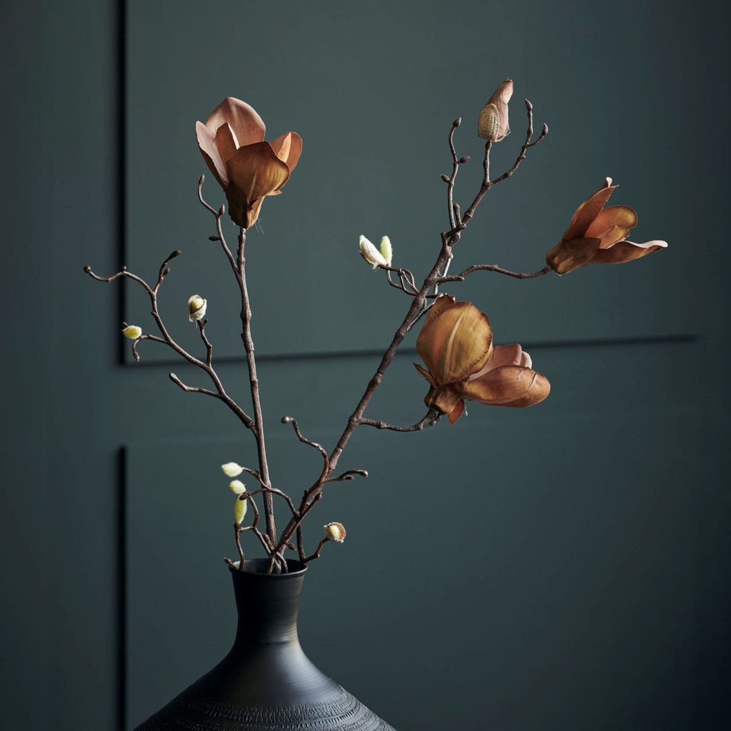 Magnolia Brown