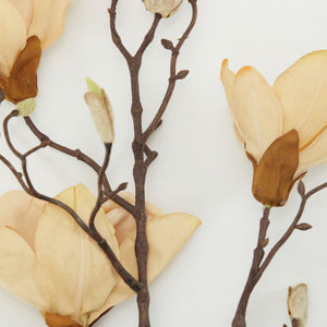 Magnolia Off-White