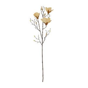Magnolia Off-White