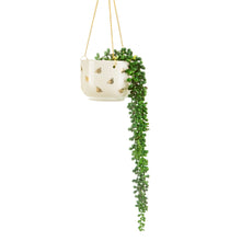Load image into Gallery viewer, Queen Bee Hanging Planter
