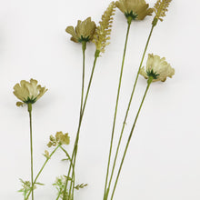 Load image into Gallery viewer, Wild Flower Beige
