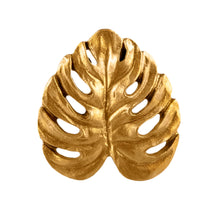 Load image into Gallery viewer, Gold Cheese Plant Leaf Drawer Knob
