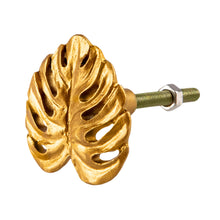 Load image into Gallery viewer, Gold Cheese Plant Leaf Drawer Knob
