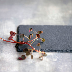 Slate Serving Board - Small
