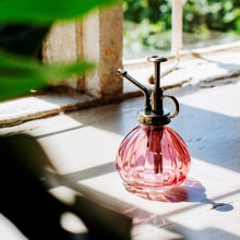 Load image into Gallery viewer, Pink Botanical Glass Plant Mister
